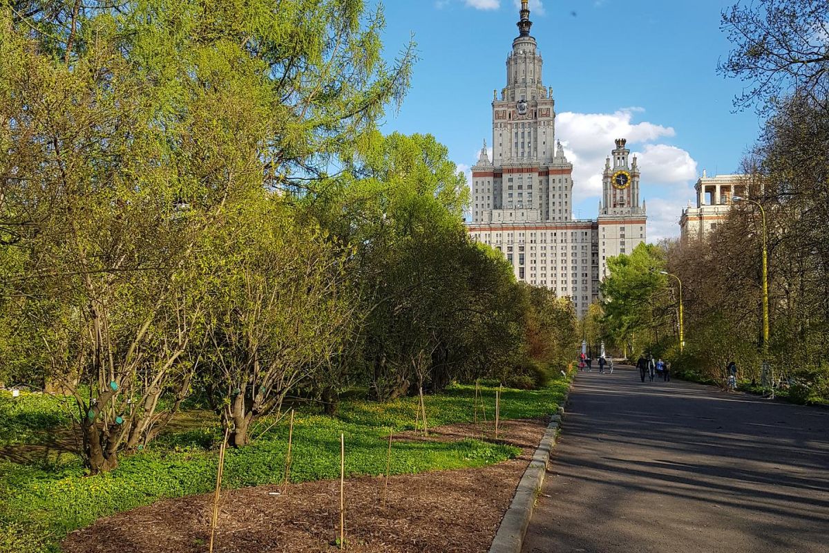 Экскурсионный тур для школьников  «Москва. Лето. Новая География»