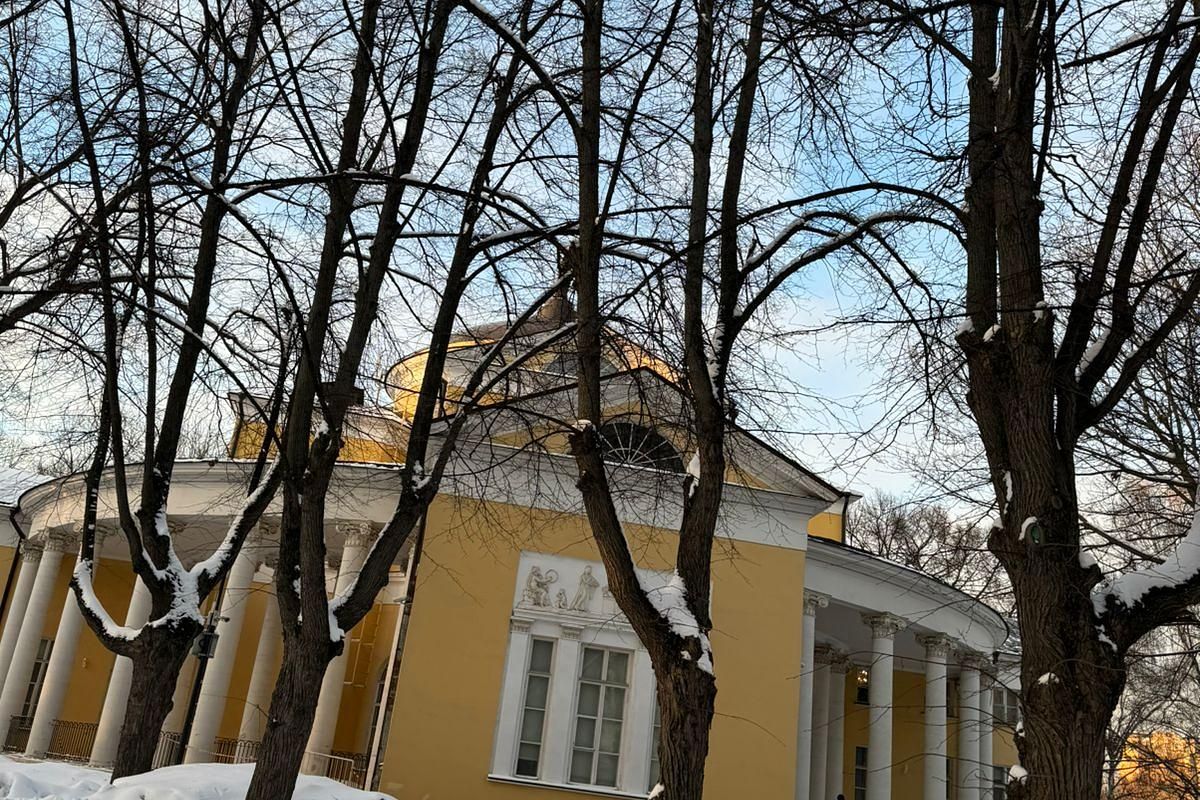 Зимние праздники в усадьбе Люблино. Школьная группа (1-5 класс)