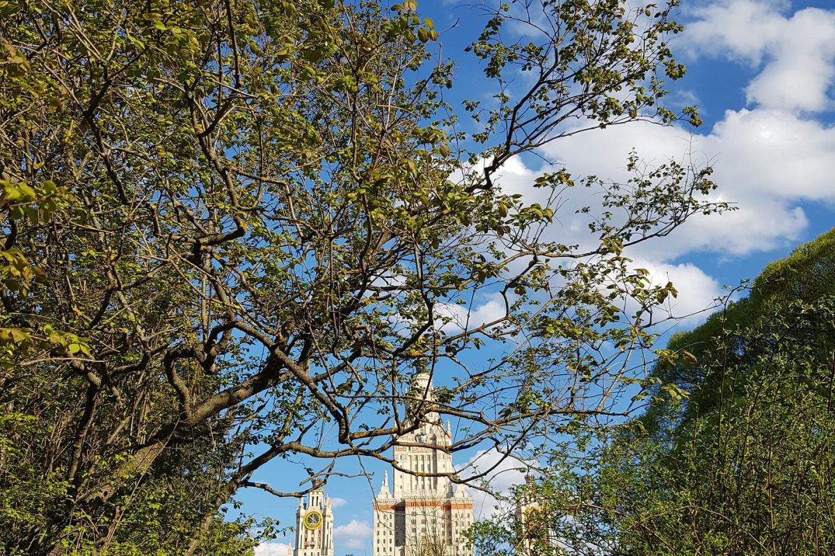 Экскурсия для взрослых групп «Москва. Лето. Новая География»