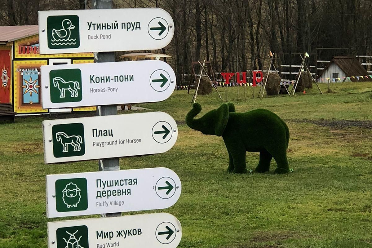Спортивно-развлекательная программа «Шиховские скауты» на зооферме «Шихово». Школьники.