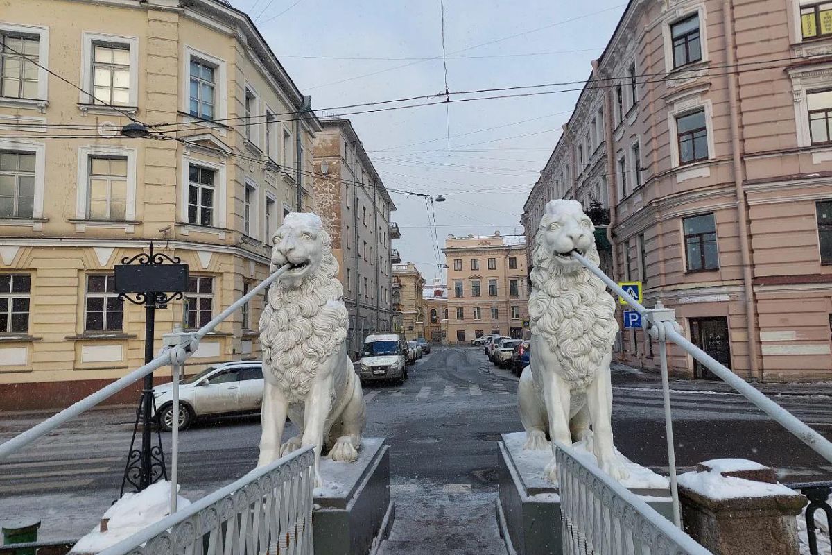 Зимние каникулы в Санкт-Петербурге.