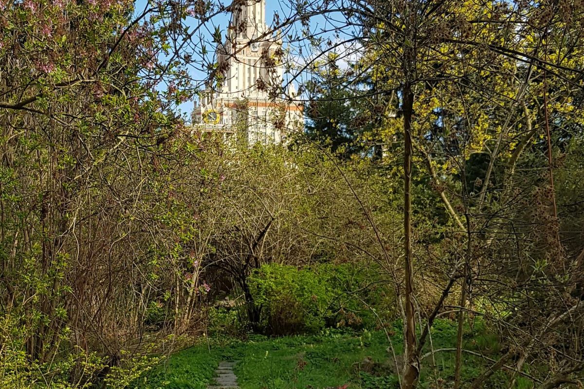 Экскурсионный тур для школьников  «Москва. Лето. Новая География»