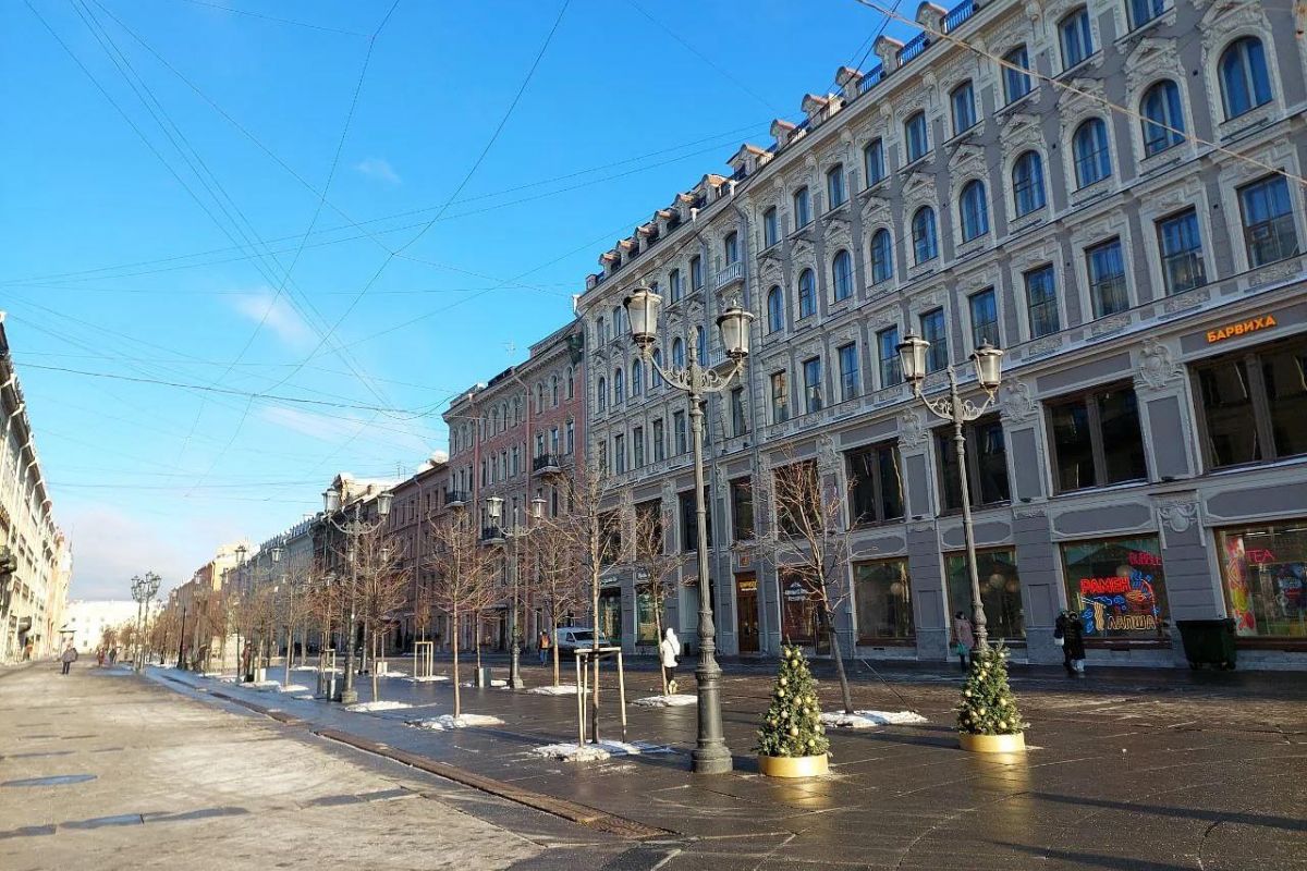 Новогодние праздники в Санкт-Петербурге для школьных групп