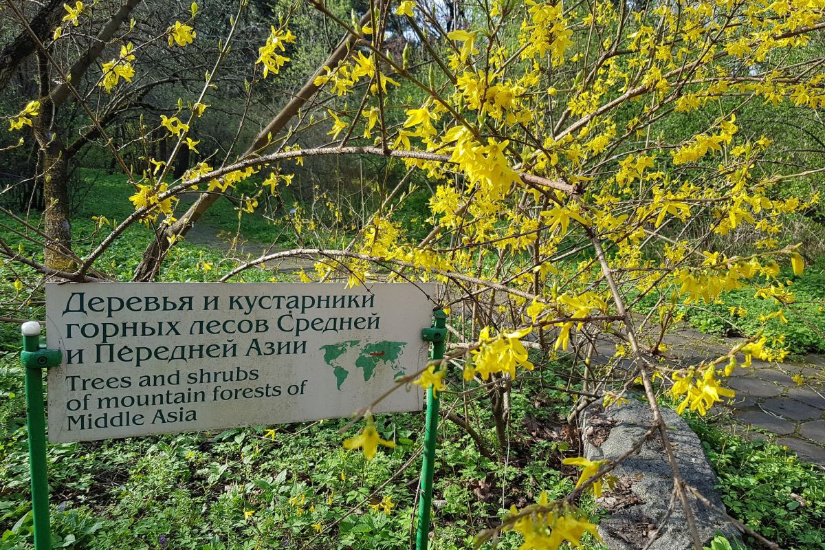 Экскурсионный тур для школьников  «Москва. Лето. Новая География»