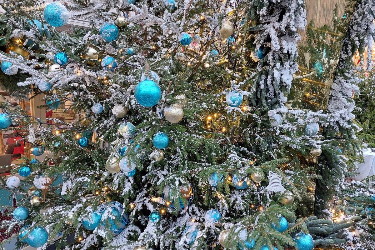 Новогодняя Москва с праздничной программой в усадьбе Люблино