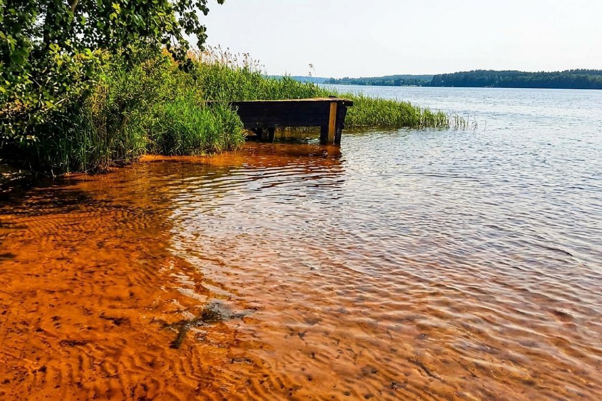 «Морские волки» на реке Волге