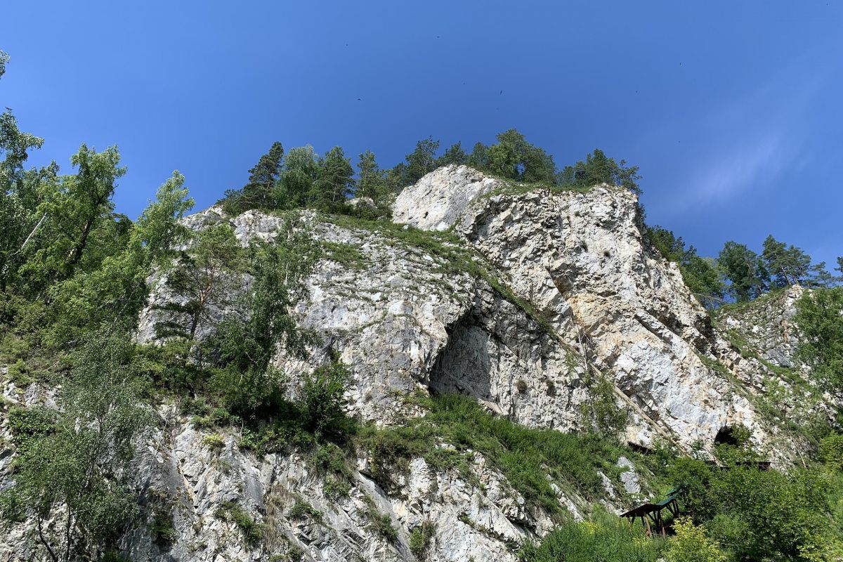 Алтай КОМБИ