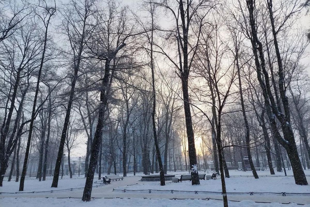 Зимние праздники в Санкт-Петербурге для школьных групп
