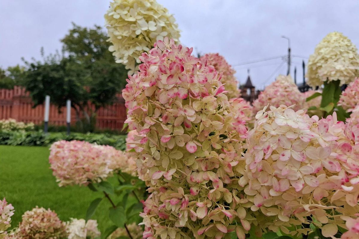 Серпухов – Кременки – Жуков