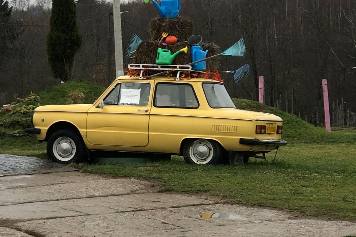 Дмитров + зооферма в Шихово. Школьники