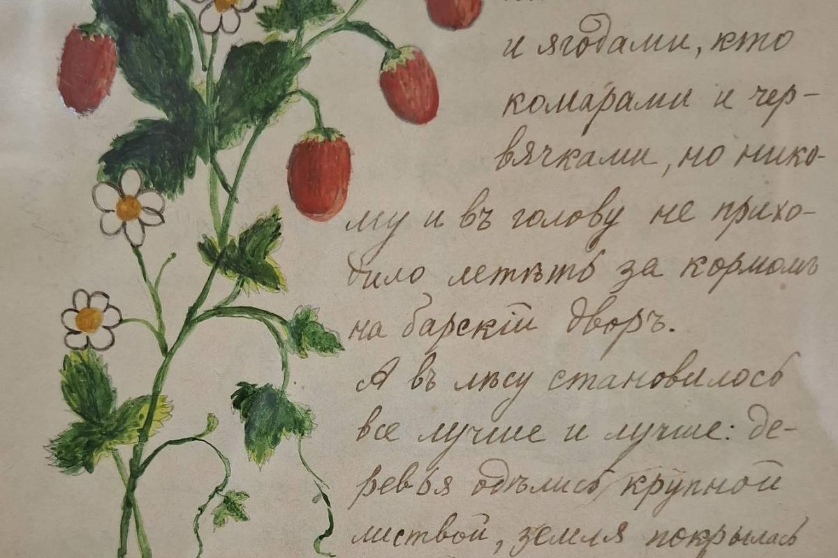 Музей-заповедник «Шахматово» для школьных групп